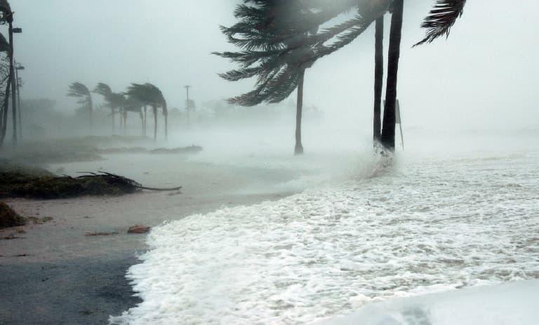 Ouragan dans un paysage tropical