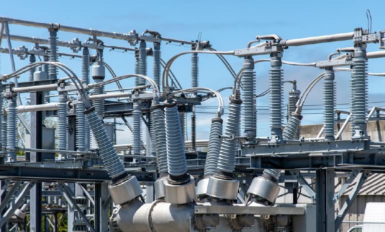 Surveillance des bagues